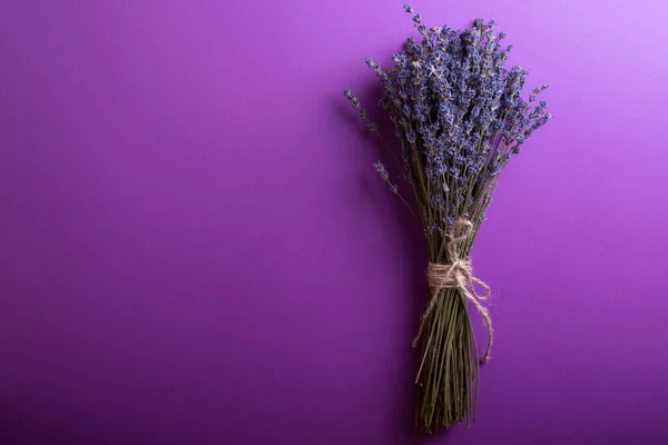 Bouquet Lavande Sur Fond Violet Provenc — Photo