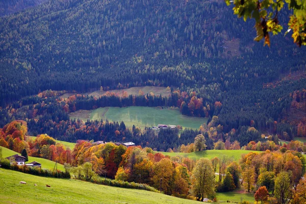 Paisaje Otoño Hermosa Vista Los Pueblos Alpinos Sobre Telón Fondo — Foto de Stock