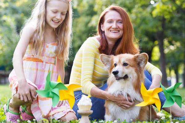 Perro Familia Cumpleaños Fuera Hermoso Corgi Esponjoso Césped Verde Banderas —  Fotos de Stock