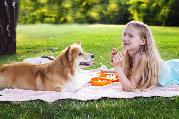 Piknik Dívka Pes Corgi Trávníku Par — Stock fotografie
