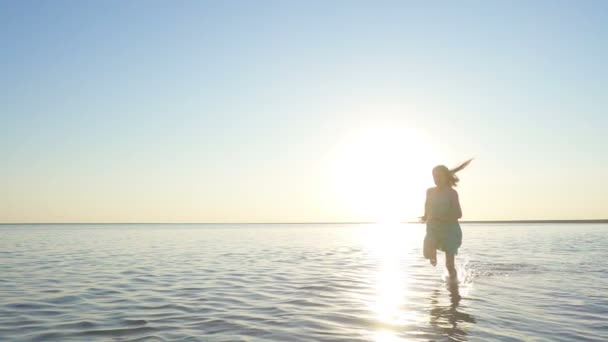 Happy child girl running and enjoying in the sea at the time of sunset — Stock Footage Happy Child Girl Running Enjoying Sea Time Sunset Royalty Free Stock Video