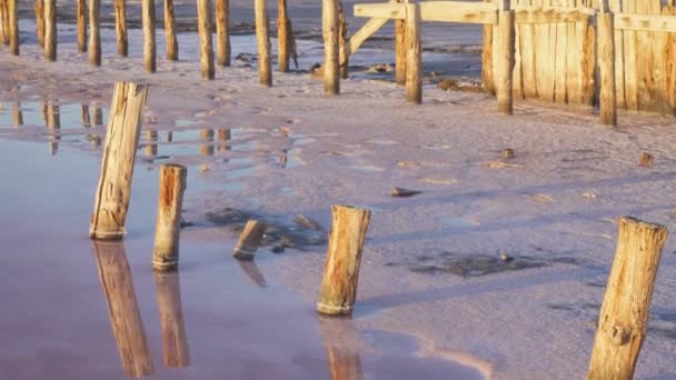 Pilares Madeira Fábrica Abandonada Extração Sal Lago Sal Rosa Lago — Vídeo de Stock