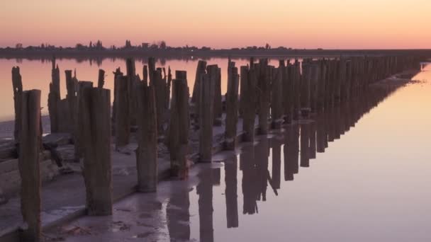 Wooden pillars of abandoned salt extraction factory on a pink salt lake at Sivash lake, Ukraine — Stock Footage Wooden Pillars Abandoned Salt Extraction Factory Pink Salt Lake Sivash Video Clip