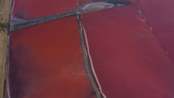 Lago Salato Rosa Con Pilastri Legno Estrazione Del Sale Abbandonato — Video Stock