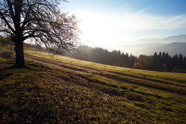 Hermoso Paisaje Montaña Las Montañas Austriacas Siluetas Las Montañas Mañana —  Fotos de Stock