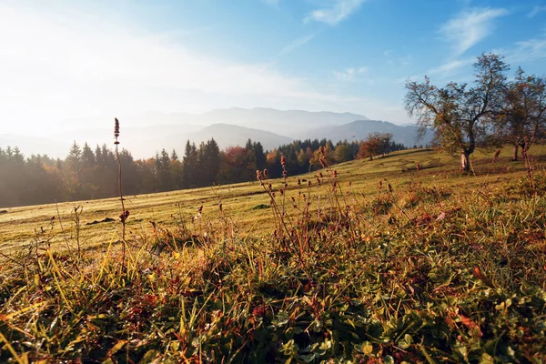 Красивый Горный Пейзаж Австрийских Горах Горные Силуэты Утреннее Время — стоковое фото