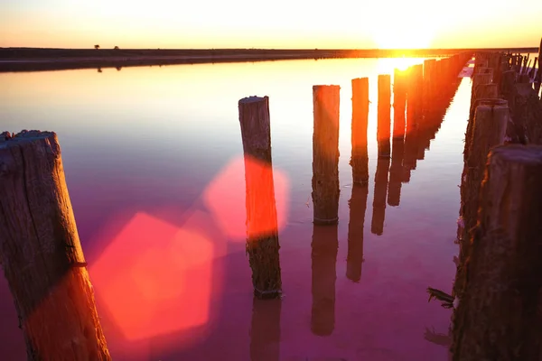 Beautiful Landscape Pink Salt Lake Dawn Wooden Remains Destroyed Dam — Stock Photo, Image