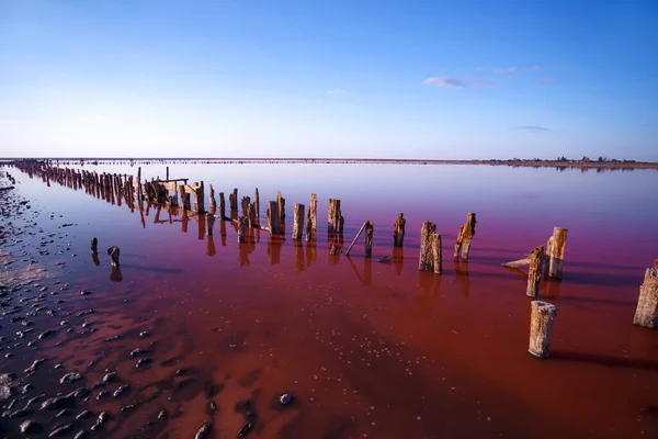 ピンクの塩湖の美しい風景 破壊されたダムの木造遺跡 — ストック写真