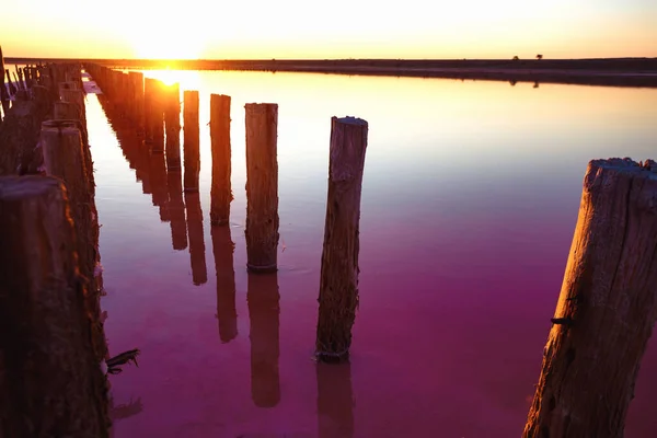 Beautiful Landscape Pink Salt Lake Dawn Wooden Remains Destroyed Dam — Stock Photo, Image