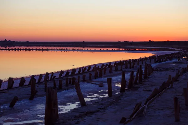 Prachtig Landschap Van Roze Zoutmeer Bij Dageraad Houten Resten Van — Stockfoto