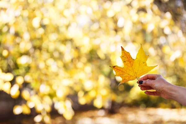 Autunno Ragazza Tiene Una Pulce Gialla Acero — Foto Stock