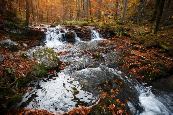 Гора Река Осенних Форелях — стоковое фото