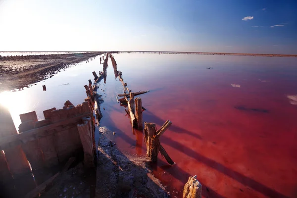 Vackert Landskap Rosa Salt Sjö Gryningen Trärester Den Förstörda Dammen — Stockfoto