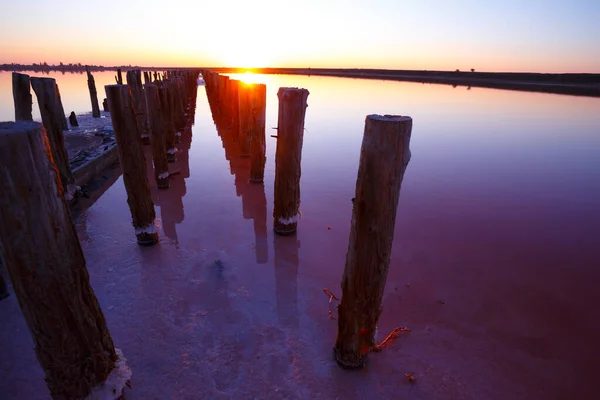 Beautiful Landscape Pink Salt Lake Dawn Wooden Remains Destroyed Dam — Stock Photo, Image