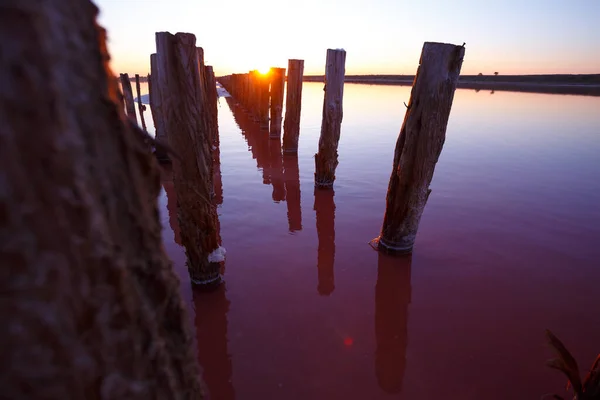 Prachtig Landschap Van Roze Zoutmeer Bij Dageraad Houten Resten Van — Stockfoto