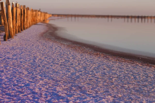 Beautiful Landscape Pink Salt Lake Dawn Wooden Remains Destroyed Dam — Stock Photo, Image