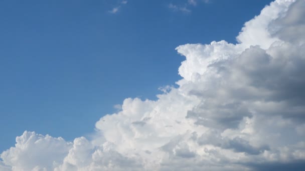 Cielo Azul Con Nubes Blancas Golondrinas Voladoras — Vídeos de Stock