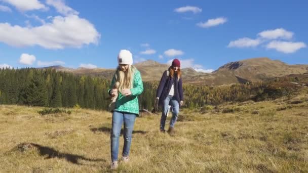 Дівчата Йдуть Стежці Вздовж Дерев Яних Гірських Хатин Мальовничій Осінній — стокове відео