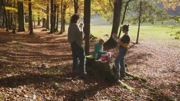 10月の晴れた日に秋の森のピクニックを楽しむ観光客の女性のグループ — ストック動画