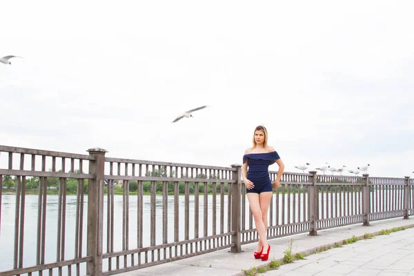 Chica Está Alimentando Gaviotas Terraplén Del Río Angara — Foto de Stock