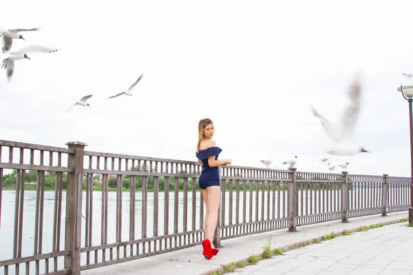 Chica Está Alimentando Gaviotas Terraplén Del Río Angara —  Fotos de Stock