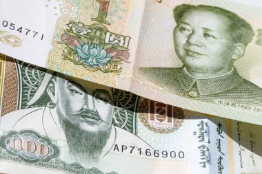 Çin Yuan ve Moğol Tugriks