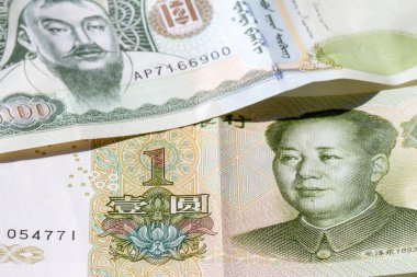 Çin Yuan ve Moğol Tugriks