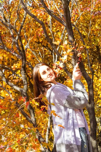 女孩喜欢明亮的秋天 — 图库照片