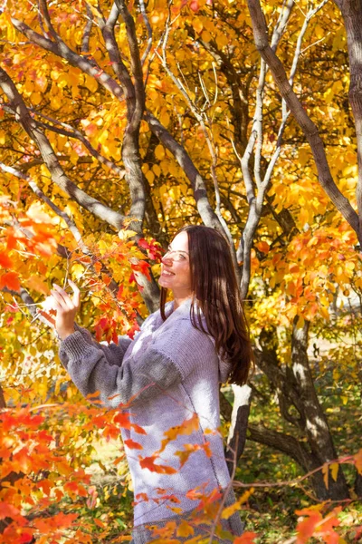 Dívka Obdivuje Podzimní Listí Parku — Stock fotografie