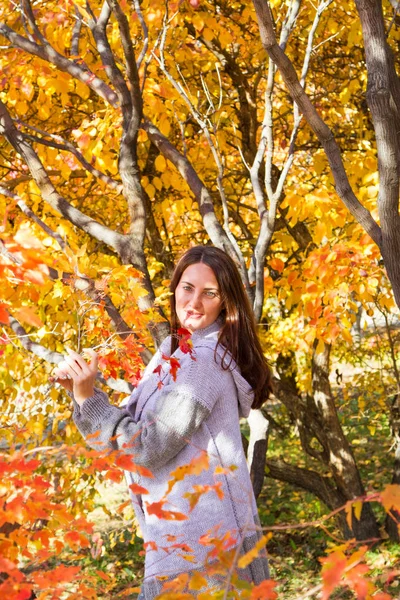 Chica Admira Las Hojas Otoño Parque —  Fotos de Stock