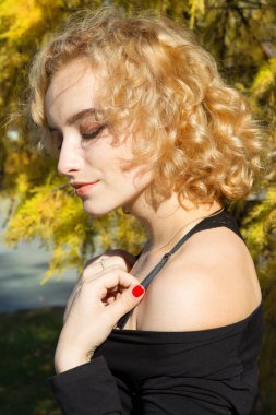 Sarışın bir arka planda sonbahar yaprakları