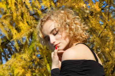 Sarışın bir arka planda sonbahar yaprakları