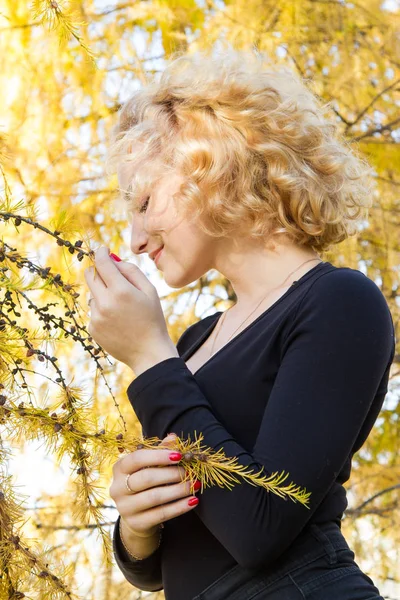 Blonde Background Autumn Leaves — Stock Photo, Image