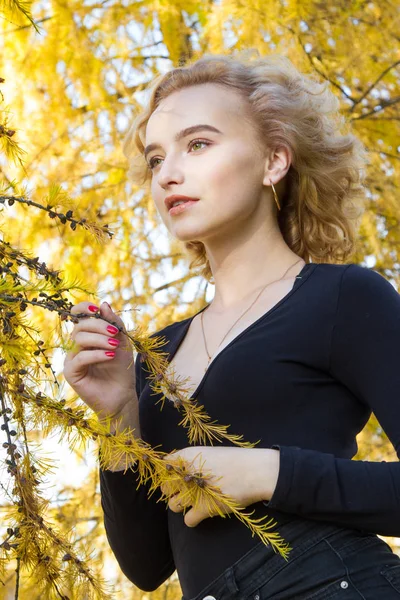 Blonde Background Autumn Leaves — Stock Photo, Image