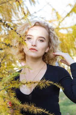 Sarışın arka planda sarı larch şube