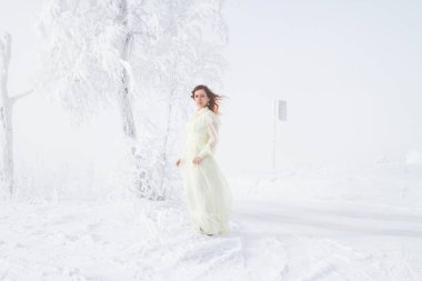 Gelin hoarfrost huş duruyor. Kış portresi