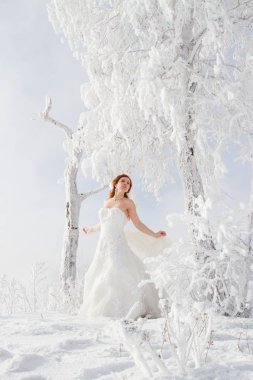 Gelin hoarfrost huş duruyor. Kış portresi