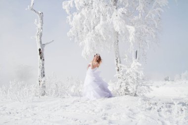 Gelin hoarfrost huş duruyor. Kış portresi