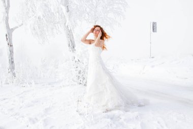 Gelin hoarfrost huş duruyor. Kış portresi