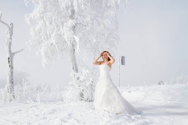 Gelin hoarfrost huş duruyor. Kış portresi