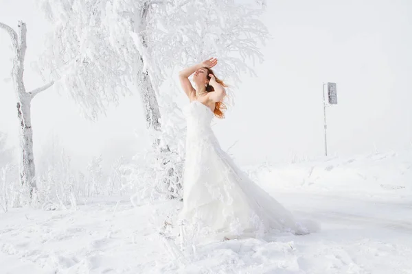 Novia Está Pie Cerca Del Abedul Retrato Invierno — Foto de Stock