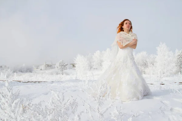 Braut Vor Dem Hintergrund Frostbedeckter Bäume Winterporträt — Stockfoto