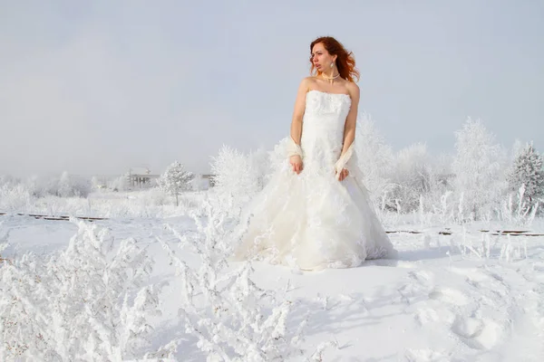 Menyasszony Háttérben Fagy Borított Fák Téli Portré — Stock Fotó
