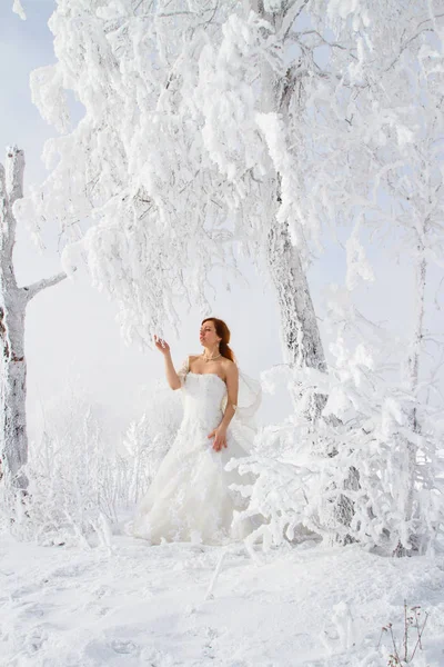 Panna Młoda Tle Pokrytych Mrozem Drzew Portret Zima — Zdjęcie stockowe