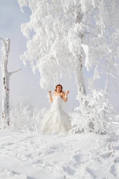 Наречена Тлі Замерзлих Дерев Зимовий Портрет — стокове фото