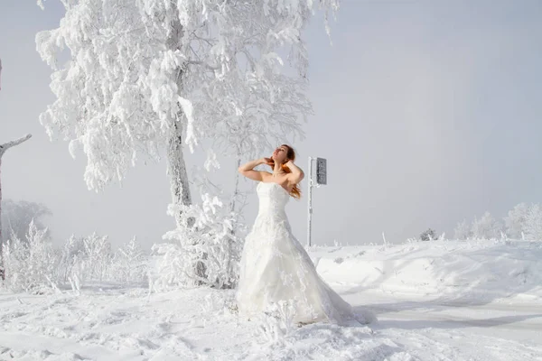 Menyasszony Fehér Ruhát Háttérben Havas Fák — Stock Fotó