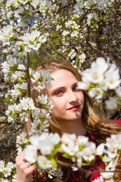 Jeune Fille Parmi Les Branches Fleuries Pommier — Photo