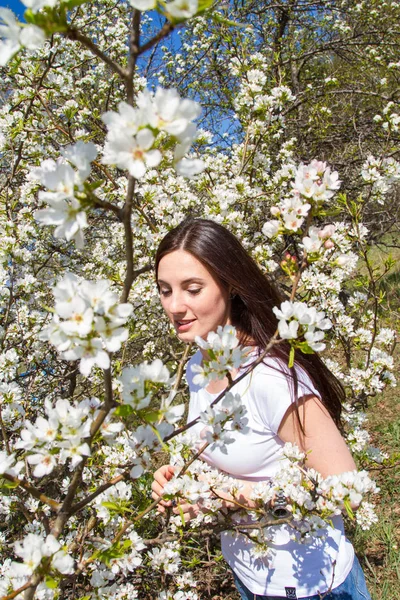 Girl Blossoming Apple Tree Branches — Stock Photo, Image