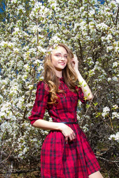 Flicka Med Ljusa Makeup Bland Blommande Grenar Äppelträd — Stockfoto