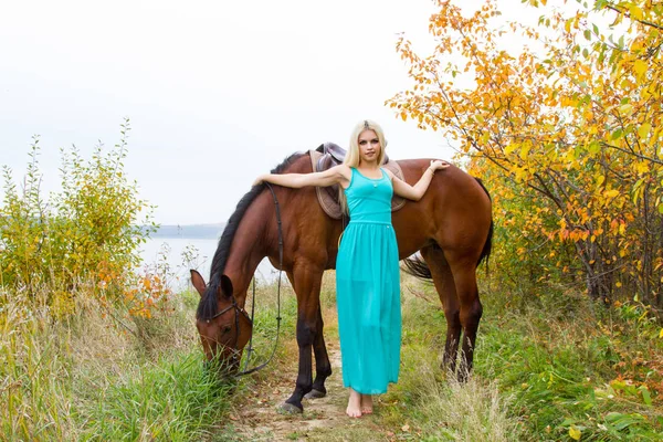 Flicka Lång Aftonklänning Stående Häst — Stockfoto